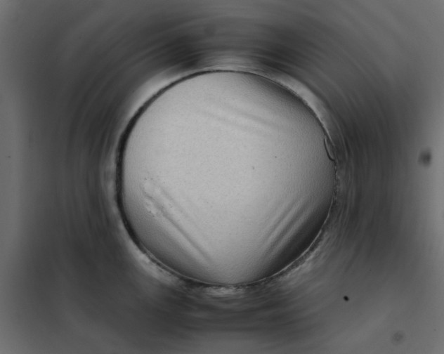 X0000102011147200808081718