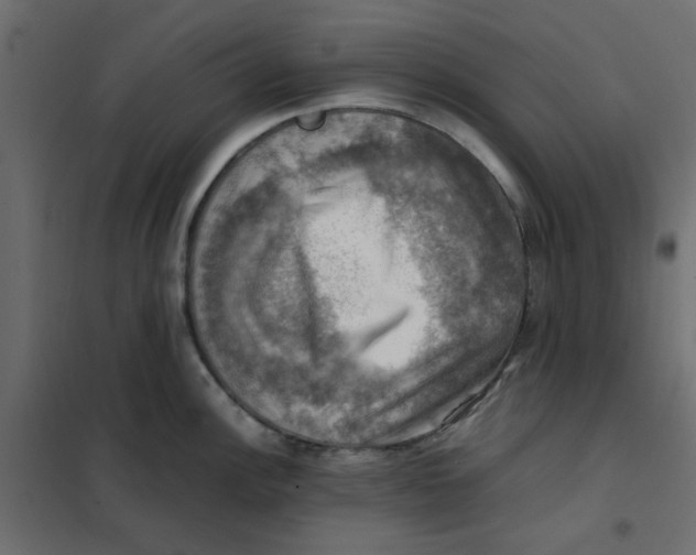 X0000102011148200808081718