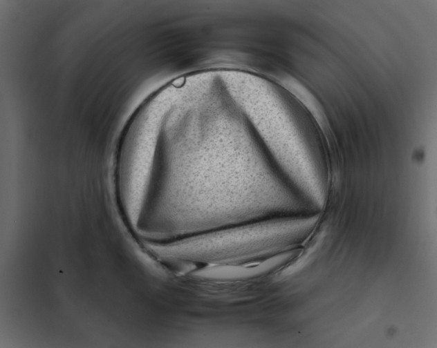 X0000102011149200808081718