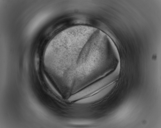 X0000102011151200808081718