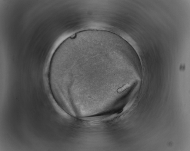 X0000102011152200808081718