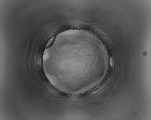 X0000102011155200808081717