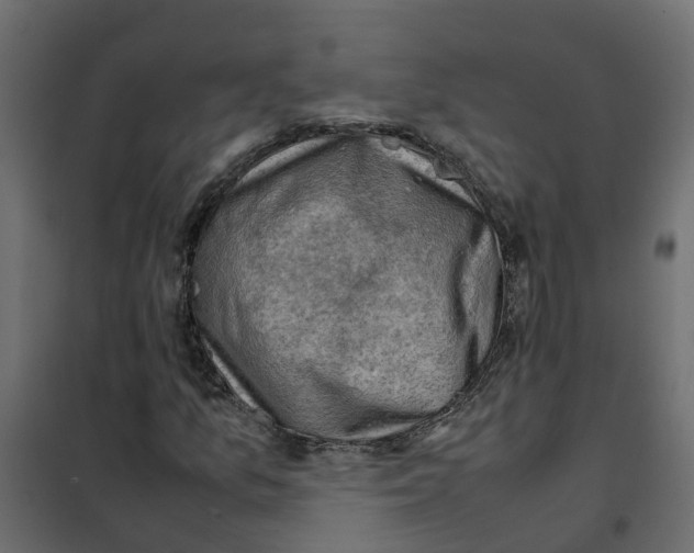 X0000102011157200808081717