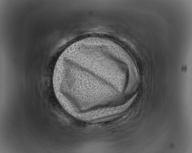 X0000102011159200808081717