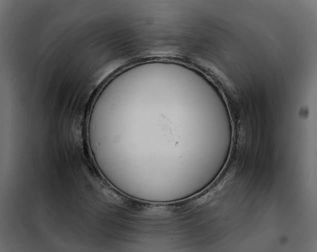 X0000102011162200808081717