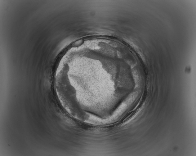 X0000102011163200808081717