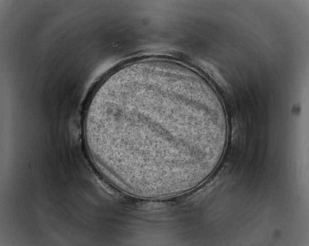 X0000102011164200808081717