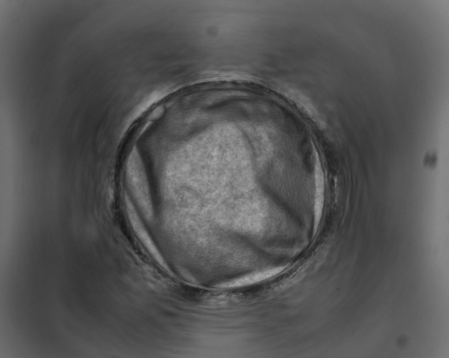 X0000102011165200808081717