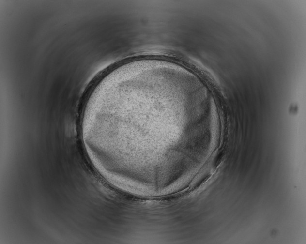 X0000102011166200808081717