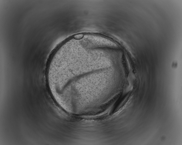 X0000102011168200808081717