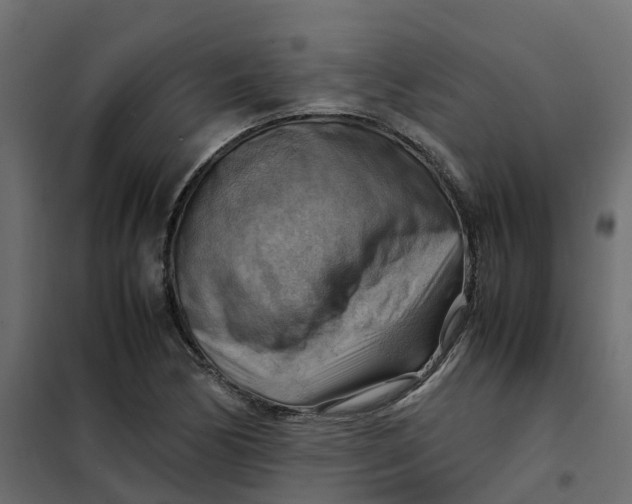 X0000102011170200808081717