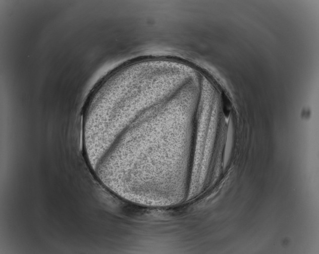 X0000102011175200808081717