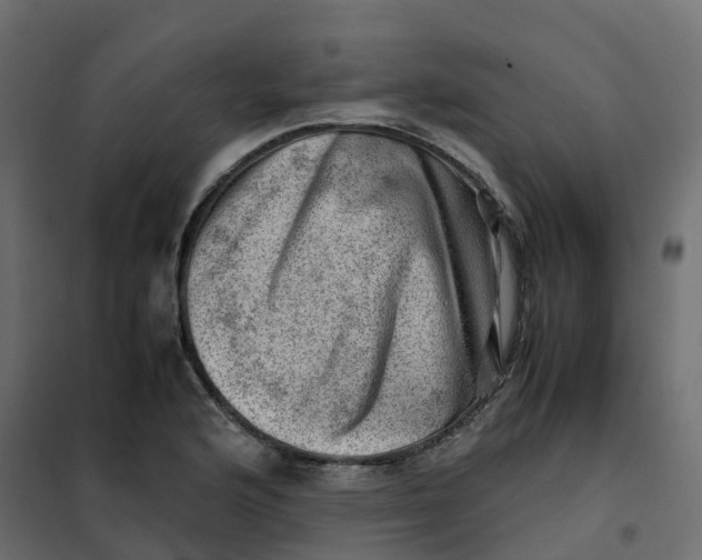 X0000102011176200808081717