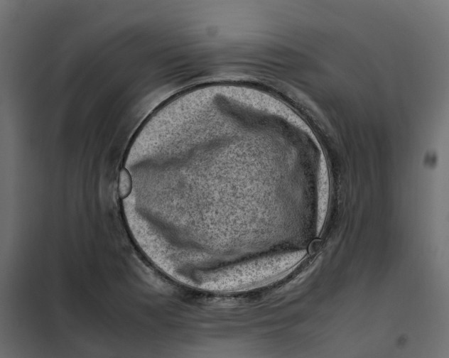 X0000102011177200808081717