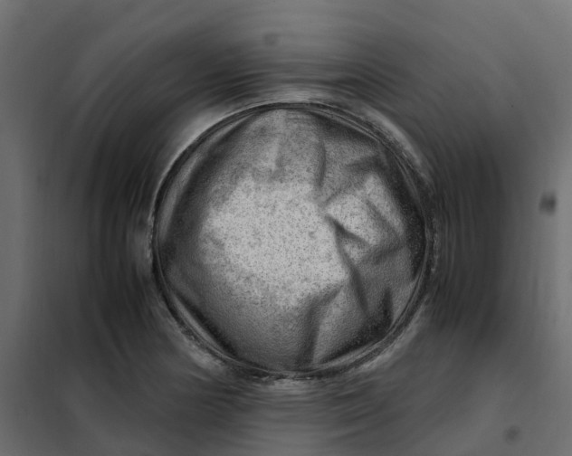 X0000102011178200808081717