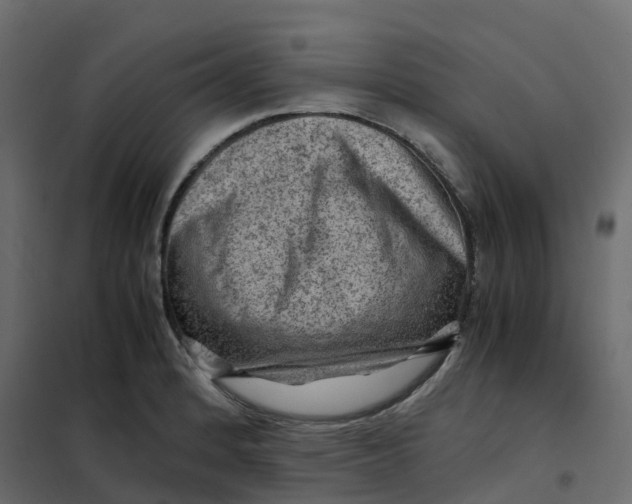 X0000102011184200808081717