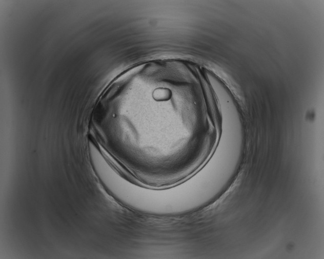 X0000102011185200808081717