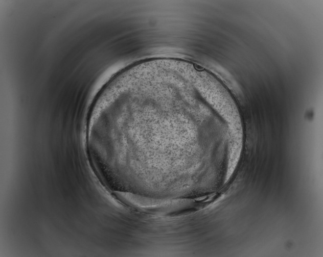 X0000102011188200808081717