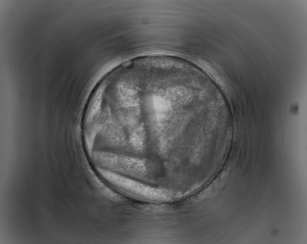 X0000102011189200808081717