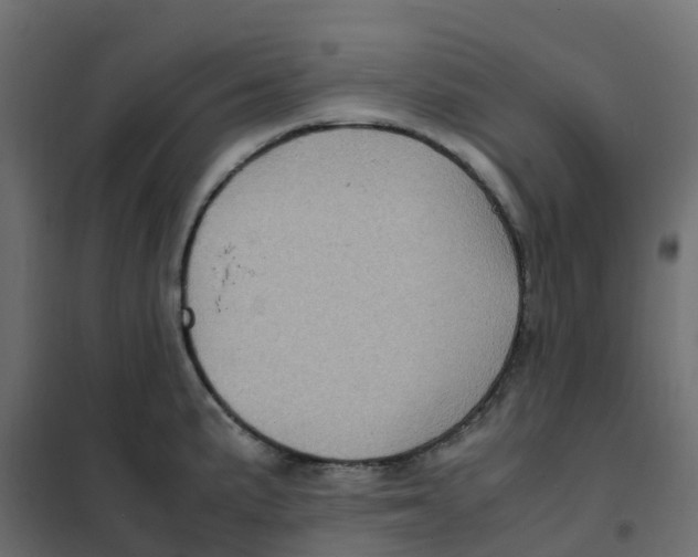 X0000102011191200808081717