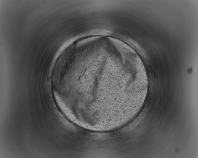 X0000102011192200808081717