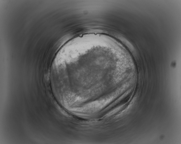 X0000102011193200808081717