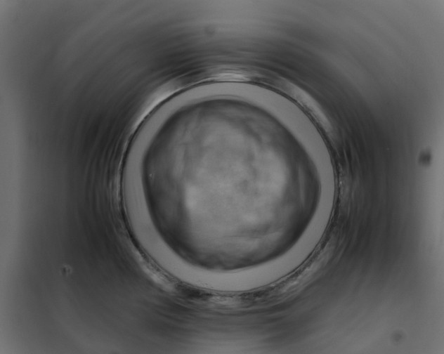 X0000102011194200808081717