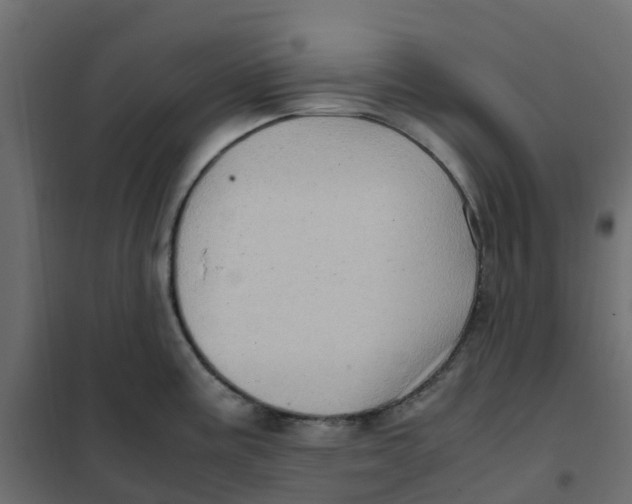 X0000102011195200808081717