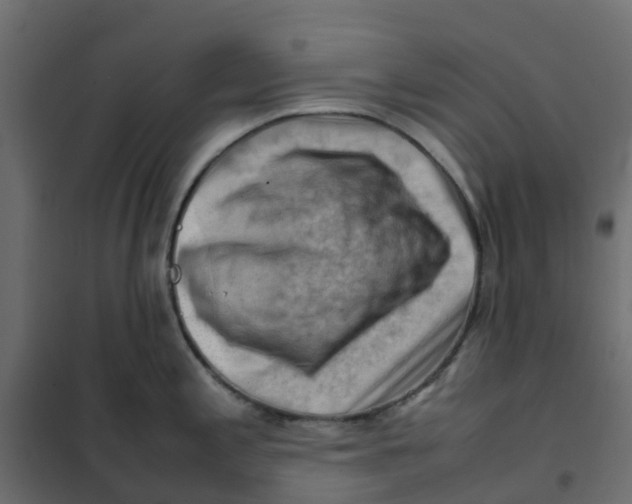 X0000102011197200808081717