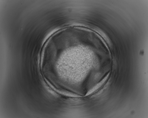 X0000102011198200808081717