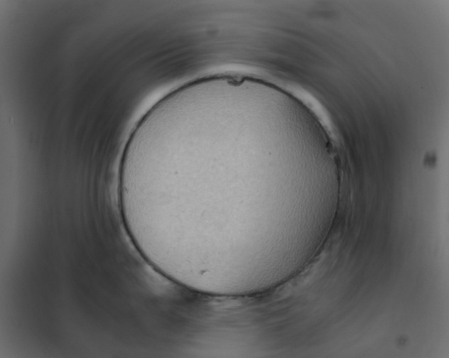 X0000102011199200808081717