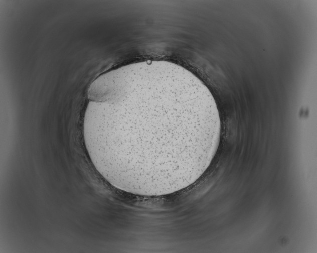 X0000102011201200808081716