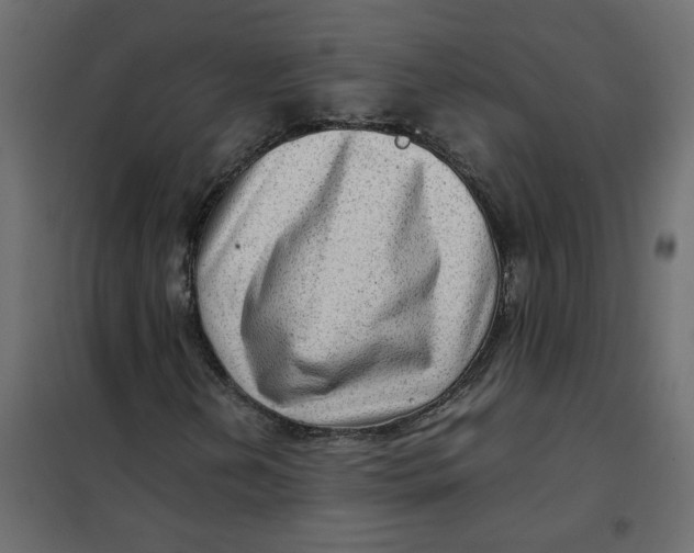 X0000102011202200808081716