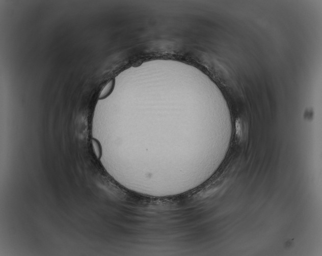 X0000102011203200808081716