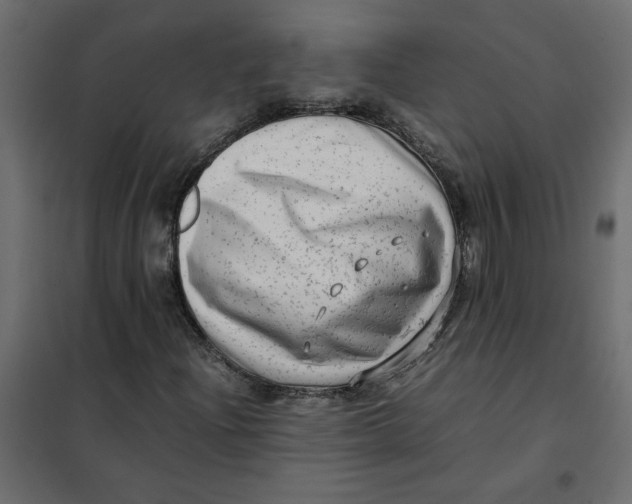 X0000102011204200808081716