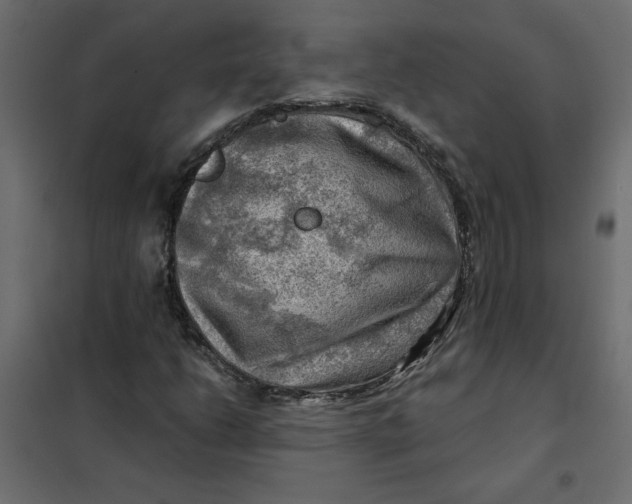 X0000102011206200808081716