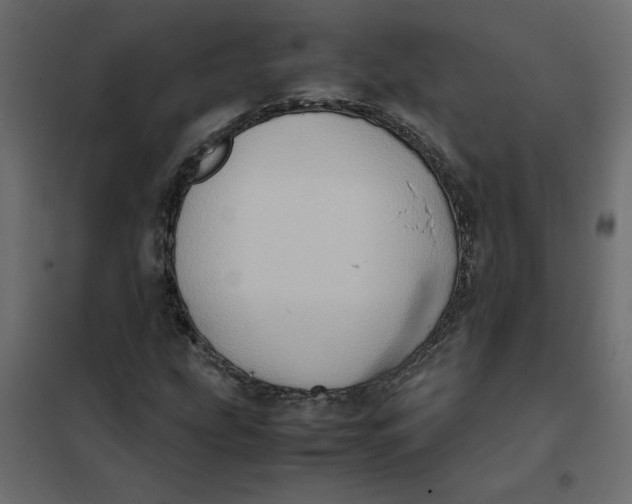 X0000102011207200808081716