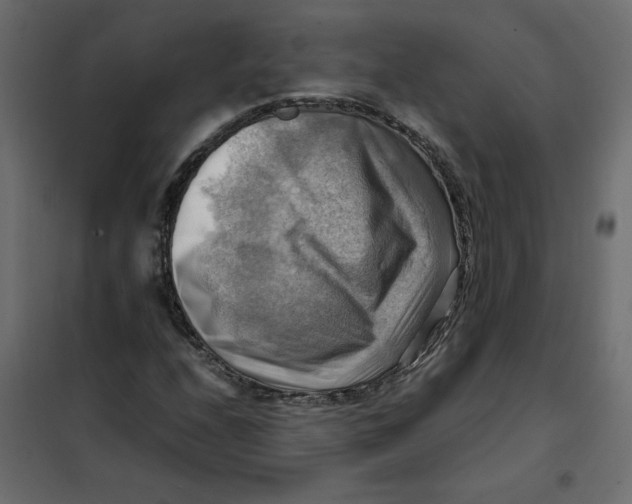 X0000102011208200808081716