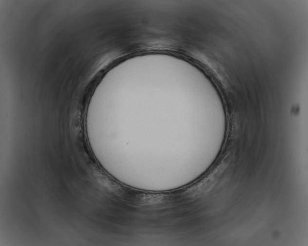 X0000102011211200808081716