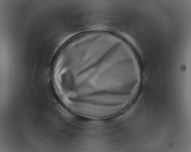 X0000102011212200808081716