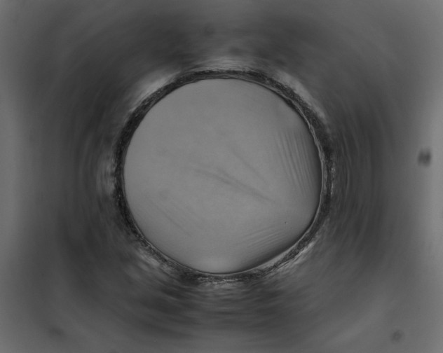 X0000102011213200808081716