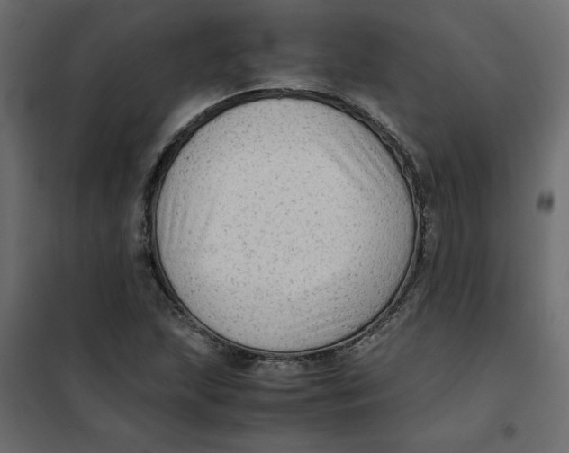 X0000102011215200808081716