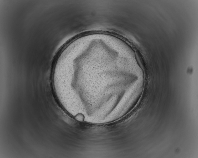 X0000102011216200808081716