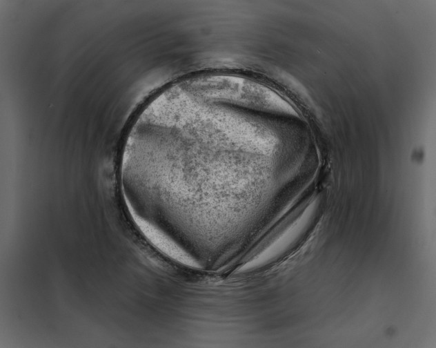 X0000102011218200808081716