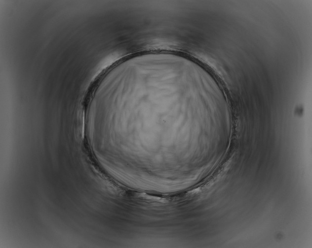 X0000102011219200808081716