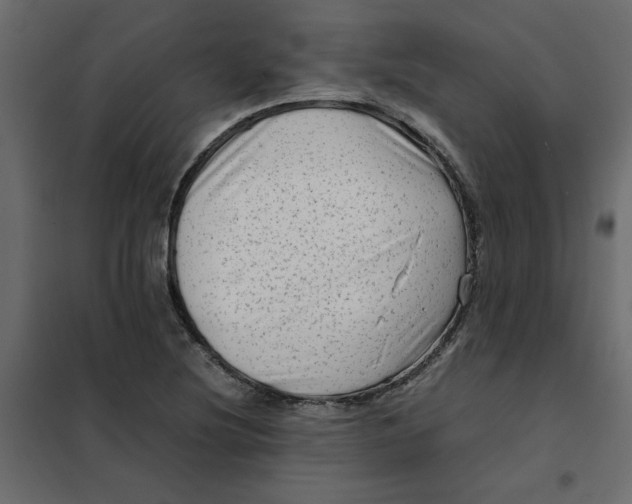 X0000102011220200808081716