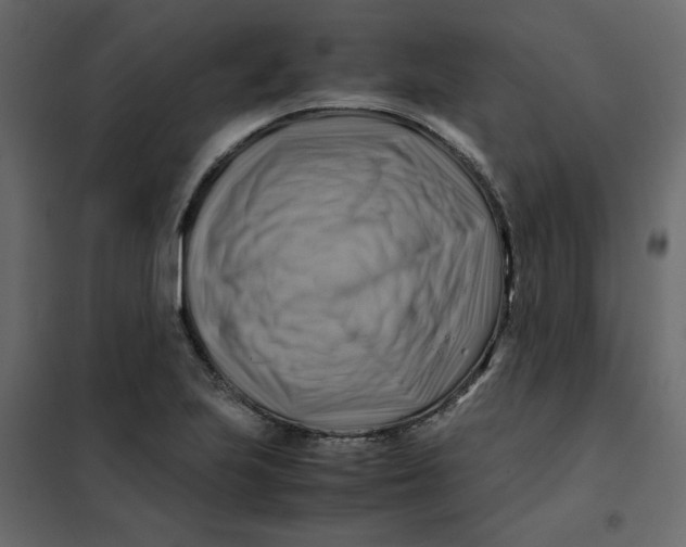 X0000102011223200808081716