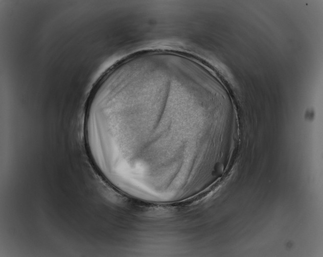 X0000102011224200808081716