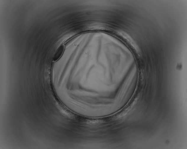 X0000102011225200808081716