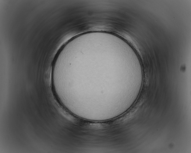 X0000102011227200808081716